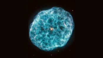 La Nebulosa Ostrica
