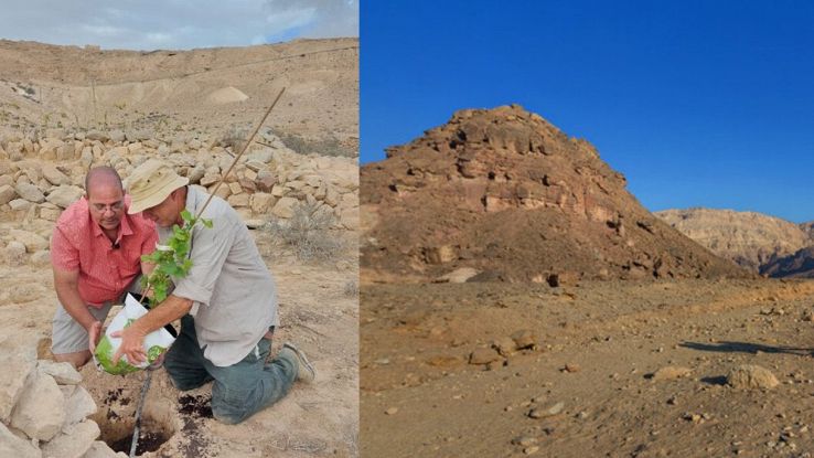 Evento storico a Israele nel deserto del Negev