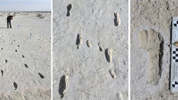 Antiche impronte umane fossili