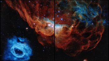Barriera Corallina Cosmica