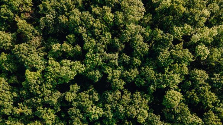 Sotto la foresta in Amazzonia si nasconde qualcosa