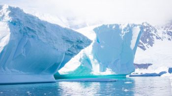 Dopo 30 anni l'iceberg più grande del mondo si sposta