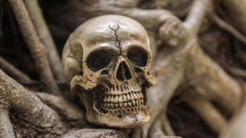 300 scheletri rivelano una storia cruenta