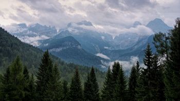 Foreste montane in Italia a rischio per la crisi climatica