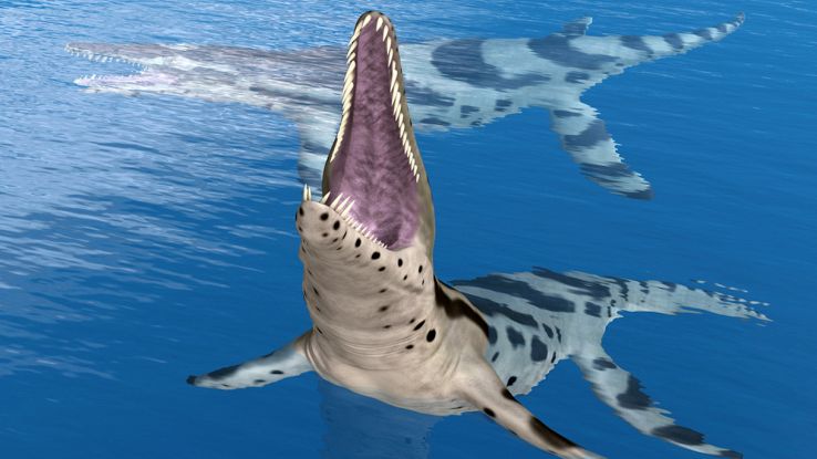 Trovato teschio del "mostro marino" pliosauro  --- (Fonte immagine: https://wips.plug.it/cips/tecnologia/cms/2023/12/pliosauro.jpg?w=738&a=c&h=415)