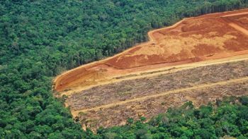 Amazzonia, siccità ai massimi livelli