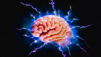 neuralink telepathy chip nel cervello