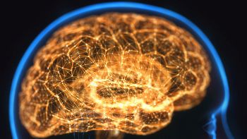 Come cambia il cervello umano