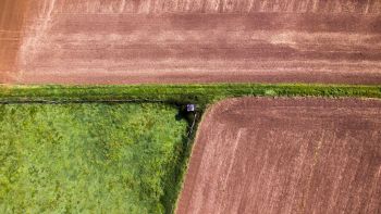 La Terra si sta "consumando"