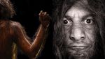 Somiglianze tra Neanderthal e Homo sapiens