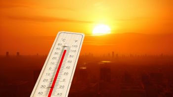Temperature record