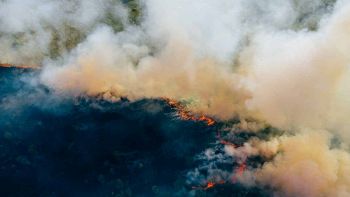 Scorcio di incendio
