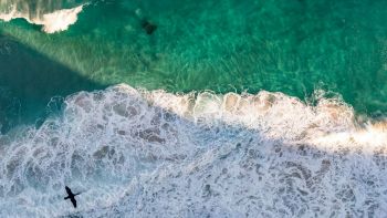 Oceano Atlantico a rischio crollo