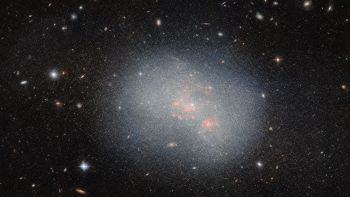 Questa immagine del telescopio spaziale Hubble della NASA/ESA cattura la galassia nana irregolare NGC 5238