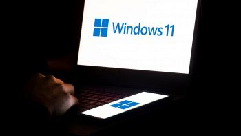 windows 11