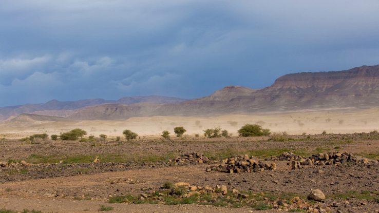 Deserto del Sahara