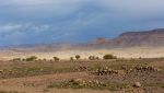 Deserto del Sahara