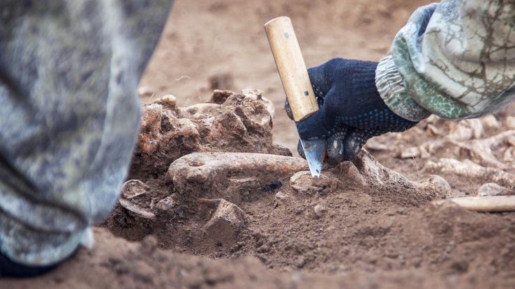 Resti umani sono stati trovati in una cripta in Italia risalenti al XVII secolo