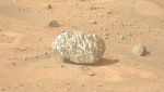 Perseverance ha trovato una roccia "zebrata" su Marte