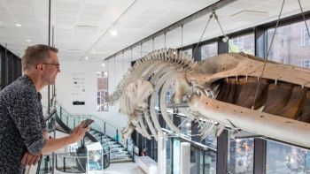 Dialogare con gli animali esposti al Museo di Zoologia dell'Università di Cambridge grazie all'IA