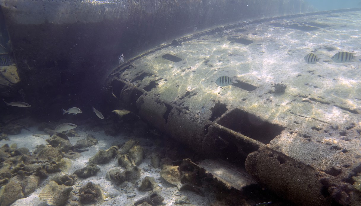 https://wips.plug.it/cips/tecnologia/cms/2024/10/ritrovata-la-22nave-fantasma-del-pacifico-22-la-uss-stewart-affondata-al-largo-della-california.jpg