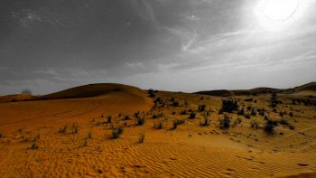 Deserto, trovati nuovi siti archeologici