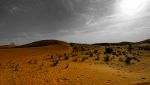 Deserto, trovati nuovi siti archeologici