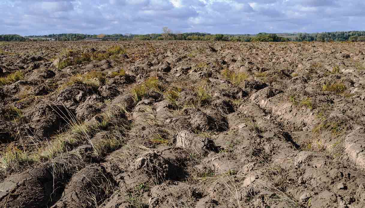 https://wips.plug.it/cips/tecnologia/cms/2024/11/terra-brucia-lentamente.jpg