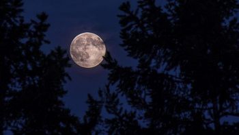 Luna delle Lunga Notte