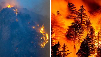 Incendi in Sicilia e Los Angeles