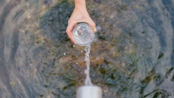 Sorgente d'acqua