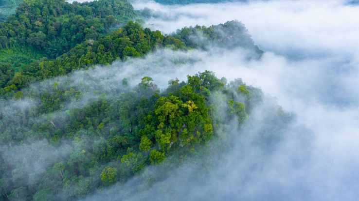 Acqua potabile per alcuni dei luoghi più aridi del mondo grazie alla nebbia