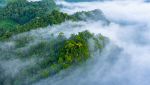 Acqua potabile per alcuni dei luoghi più aridi del mondo grazie alla nebbia