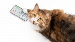 Smartphone per animali domestici