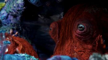 octopus-documentario-prime-video
