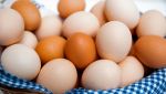 Uova di gallina con colori diversi
