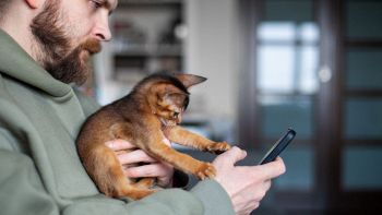 AI per capire i versi degli animali