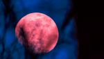 Quando vedere la luna piena di Fragola a giugno 2025, non sarà così vicina per molti anni