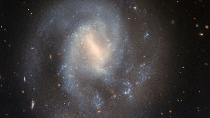 Galassia a spirale ha ospitato una supernova