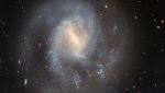 Galassia a spirale ha ospitato una supernova