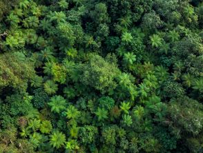 C'è un tesoro nascosto sottoterra: dove lo stanno cercando