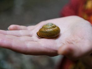 Trovata specie mai vista prima: la scoperta di due italiani
