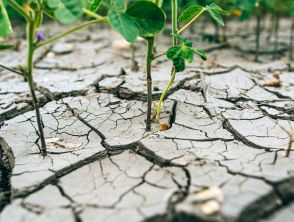 Disastro climatico in arrivo: cosa dicono le previsioni