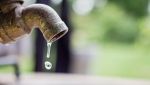 Siccità in Italia, scatta già l'allerta: le regioni che rischiano di rimanere senza acqua