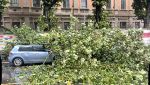 Allerta meteo per forti piogge