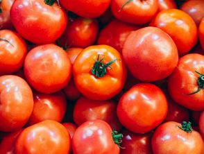 Alcuni pomodori stanno diventando tossici: l'allarme