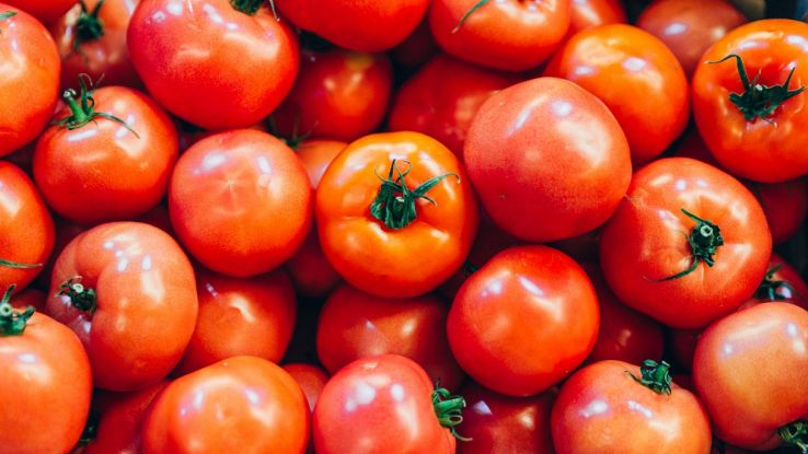 Pomodori delle Galapagos tossici