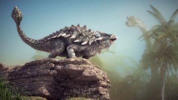 Scoperta una nuova specie di dinosauro in Cina