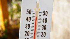 Caldo record in Sardegna e cambiamento climatico