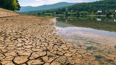 Come il cambiamento climatico impatta sull'acqua dolce